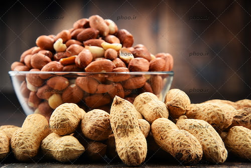 فروش عمده بادام زمینی غلاف دار نمکی